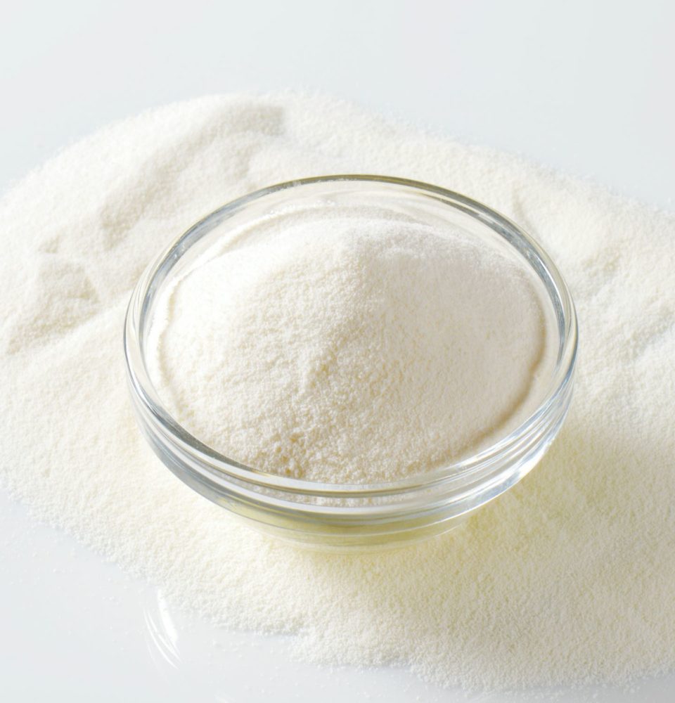 nonfat dry skim milk powder